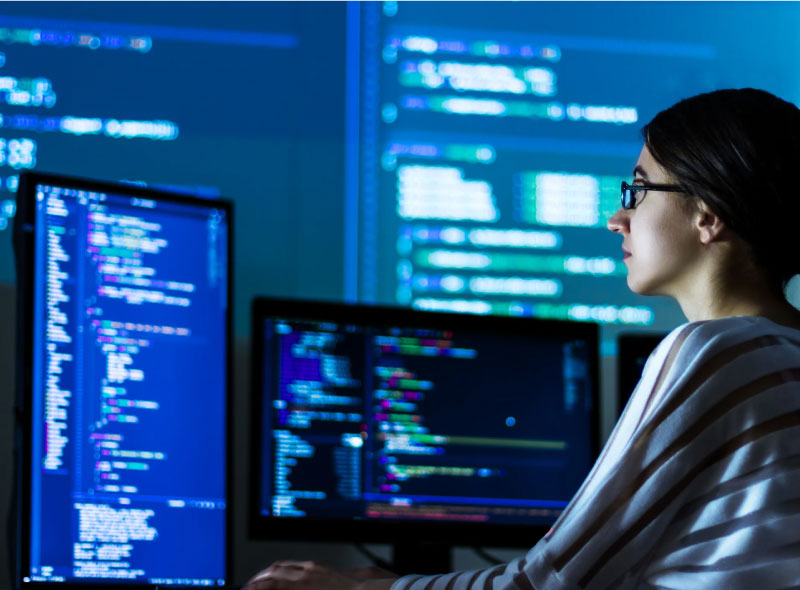 Software Development